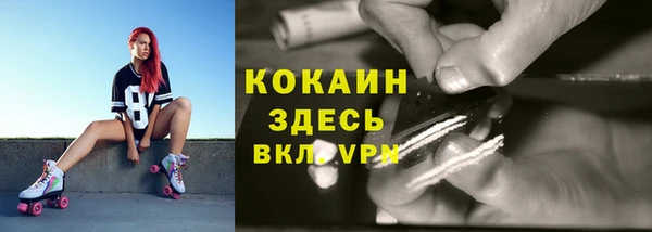 мяу мяу мука Балахна