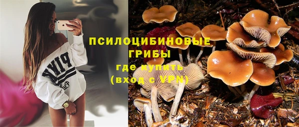 apvp Баксан