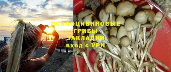 apvp Баксан